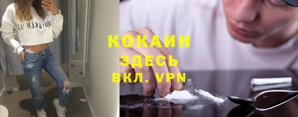 mdpv Няндома